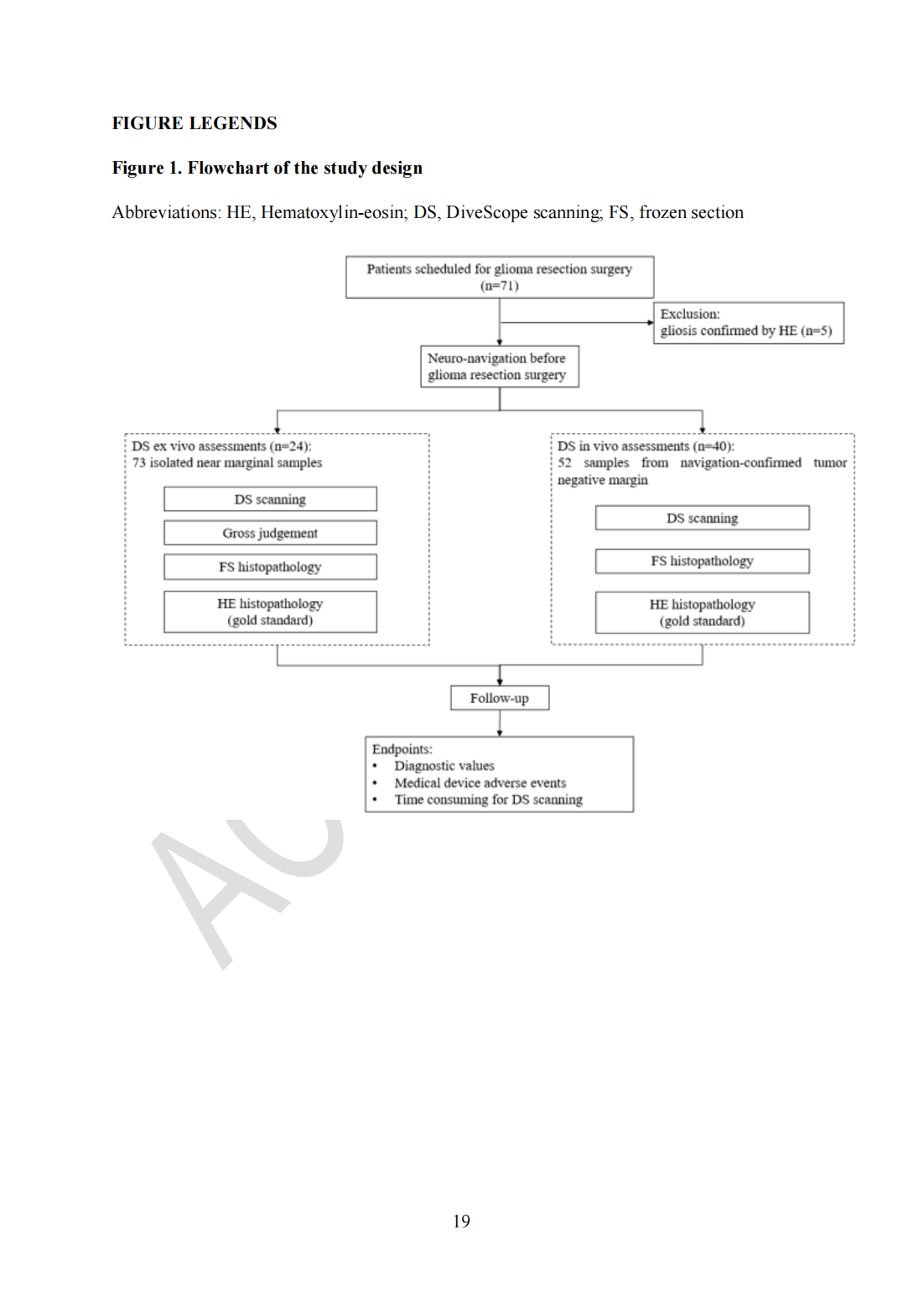 Roving histological imaging for navigation-confirmed glioma negative margin by handheld endomicroscopy: a parallel controlled study(图19)