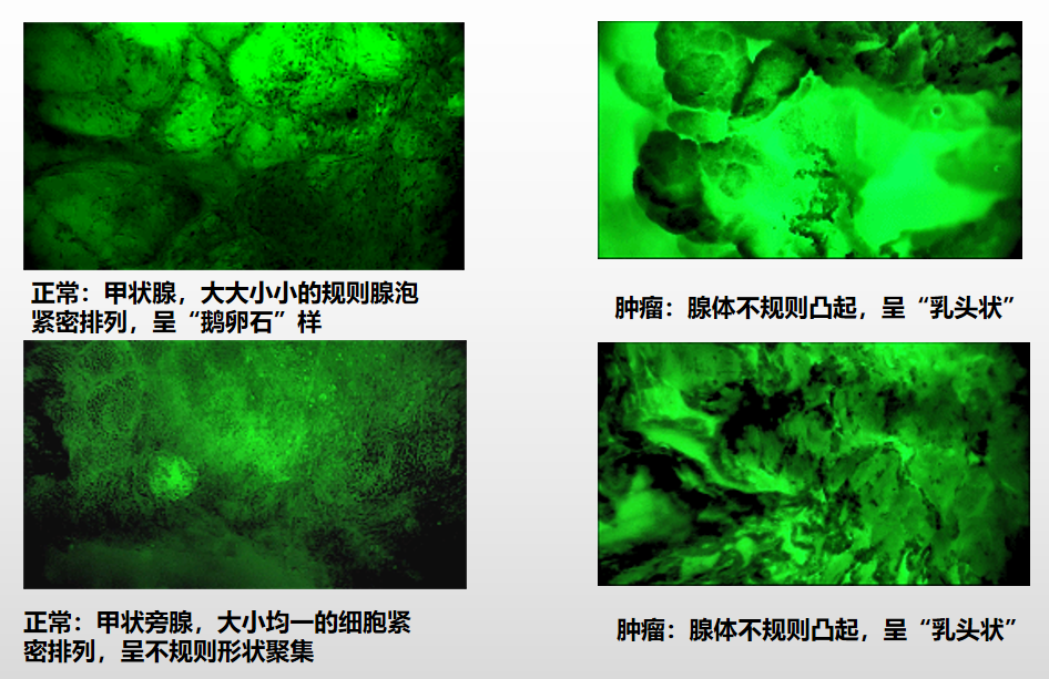 微信图片_20250512155444.png