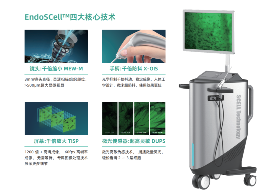 解放军总医院第一医学中心神经外科医学部成功应用EndoSCell™精准切除脑胶质瘤(图8)