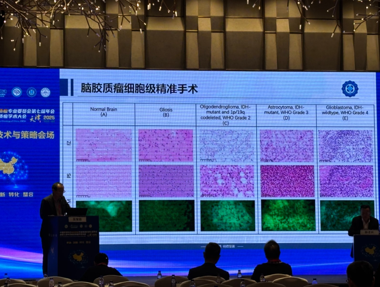 微信图片_20250711155951.png